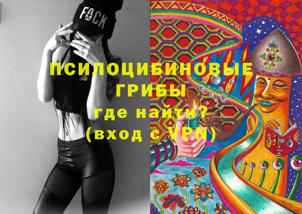 экстази Богородицк