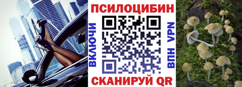 Купить где  Реутов  Галлюциногенные грибы мухоморы 